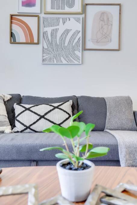 Bright Apartment Walk To Ballston Metro Arlington Extérieur photo